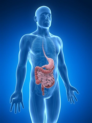 Understanding Digestion and Why Digestive Problems Occur | Vitalia