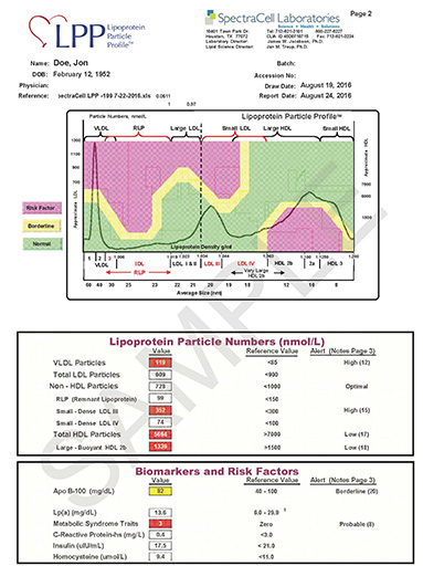 Comprehensive Cardiovascular Assessment sample