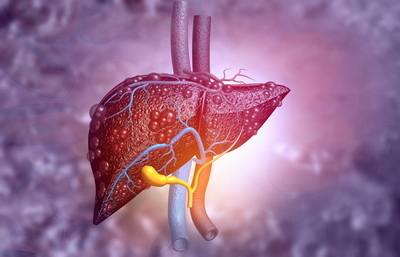 theraphy for damaged liver