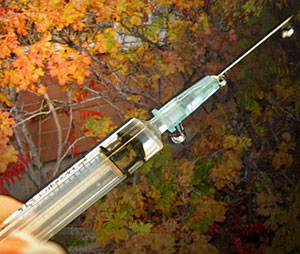 Vaccination Consultations