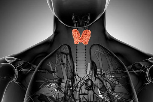 thyroid vancouver