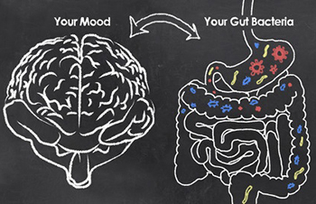 gut health